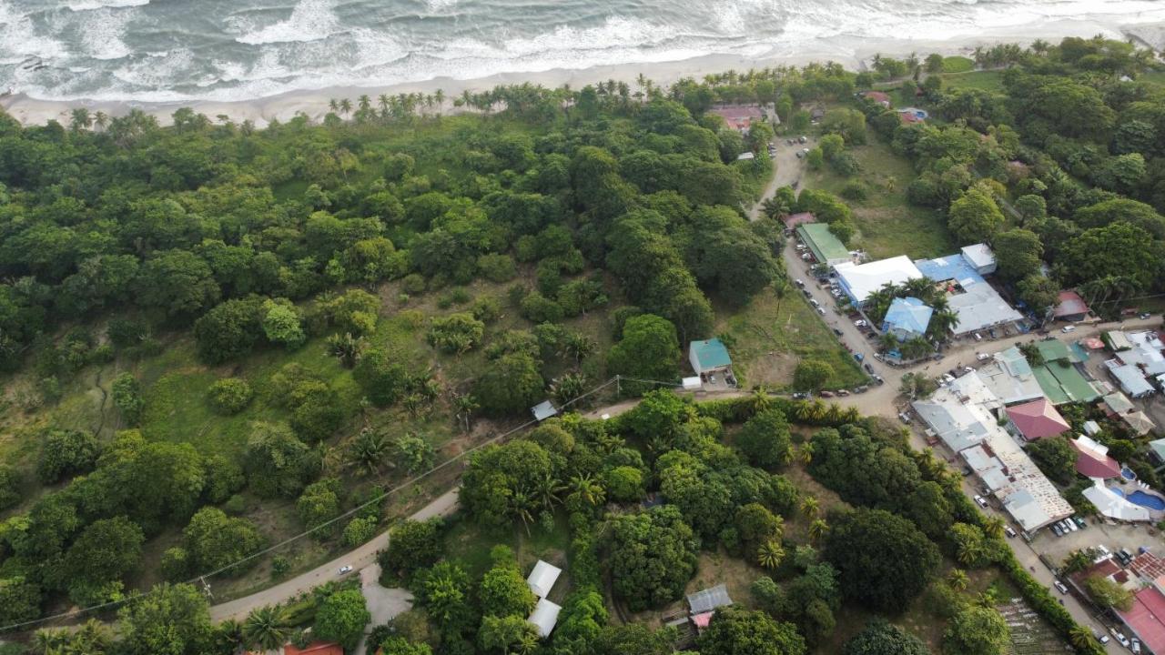 Armadillo Eco Bungalows - Santa Teresa Playa Santa Teresa  Eksteriør billede