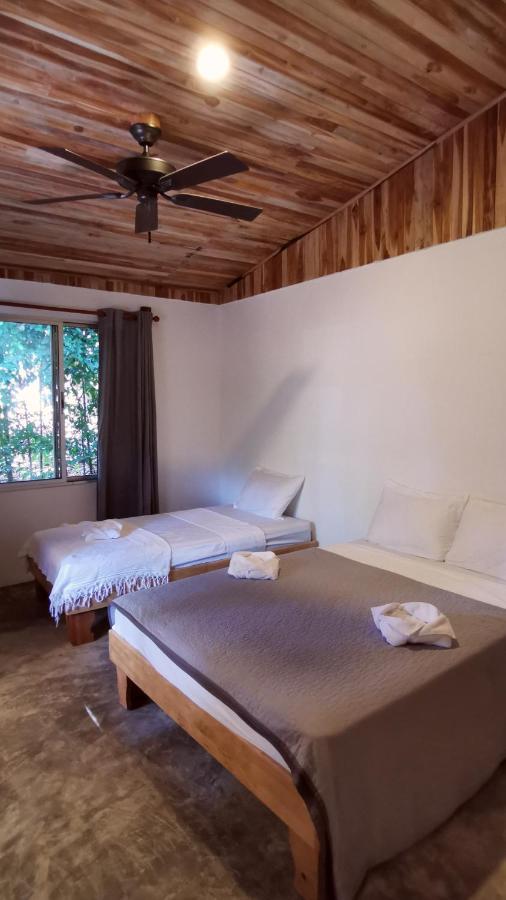 Armadillo Eco Bungalows - Santa Teresa Playa Santa Teresa  Eksteriør billede
