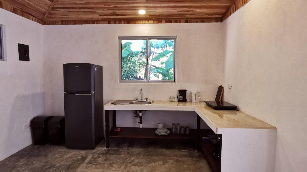 Armadillo Eco Bungalows - Santa Teresa Playa Santa Teresa  Eksteriør billede