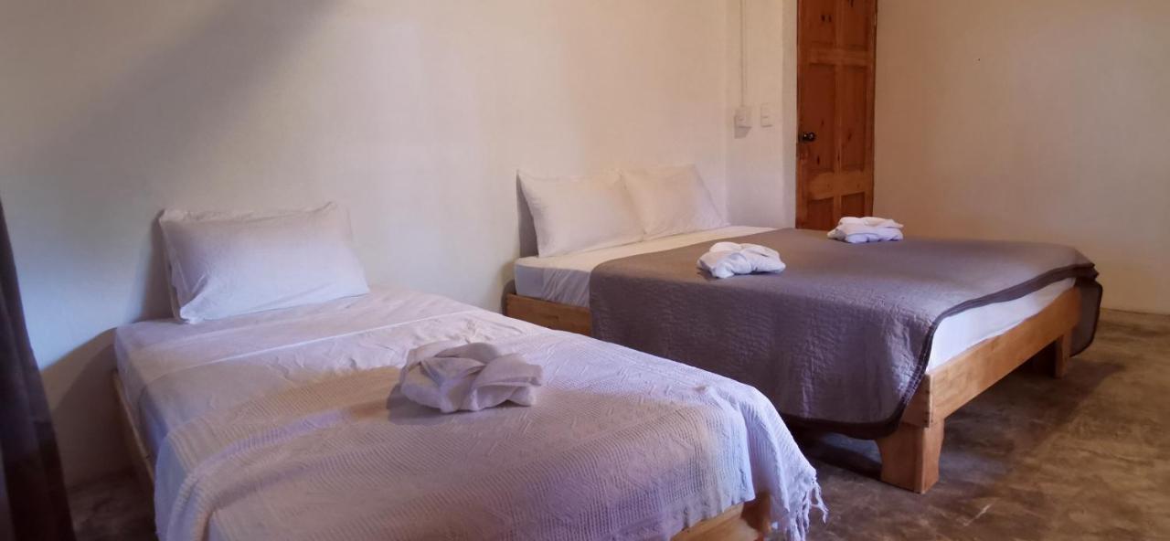 Armadillo Eco Bungalows - Santa Teresa Playa Santa Teresa  Eksteriør billede
