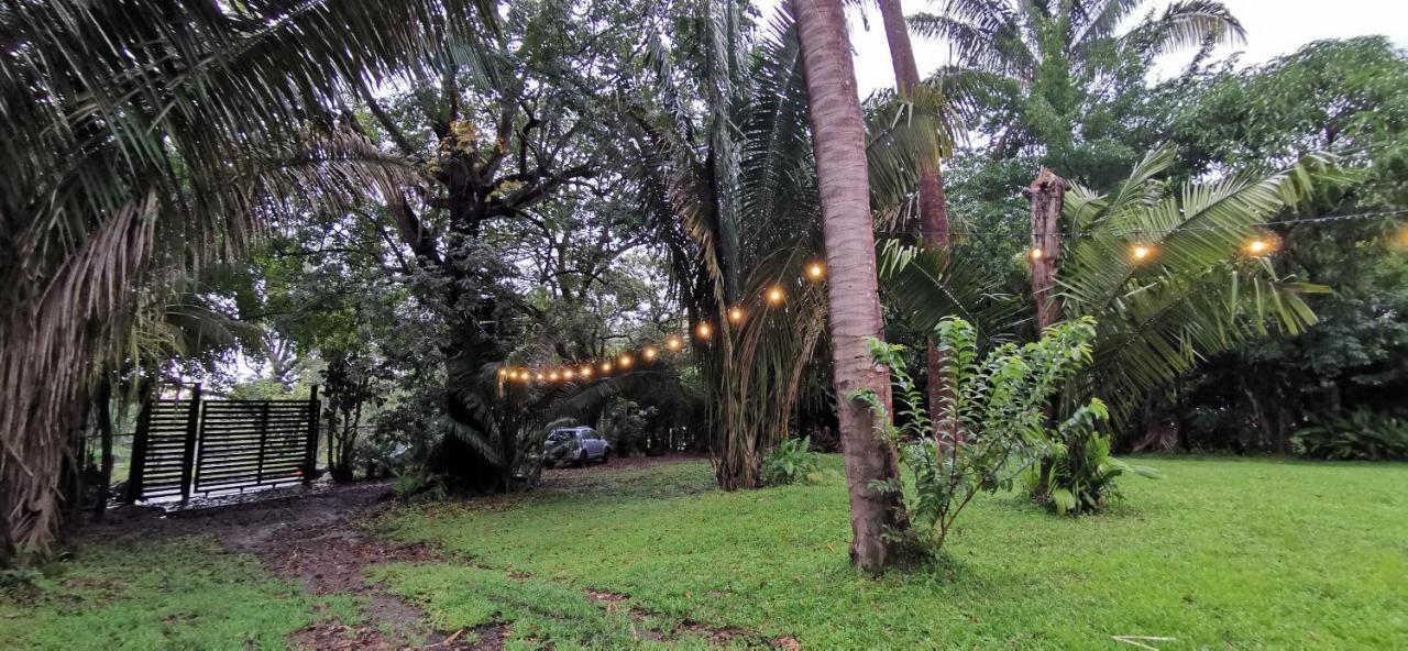 Armadillo Eco Bungalows - Santa Teresa Playa Santa Teresa  Eksteriør billede