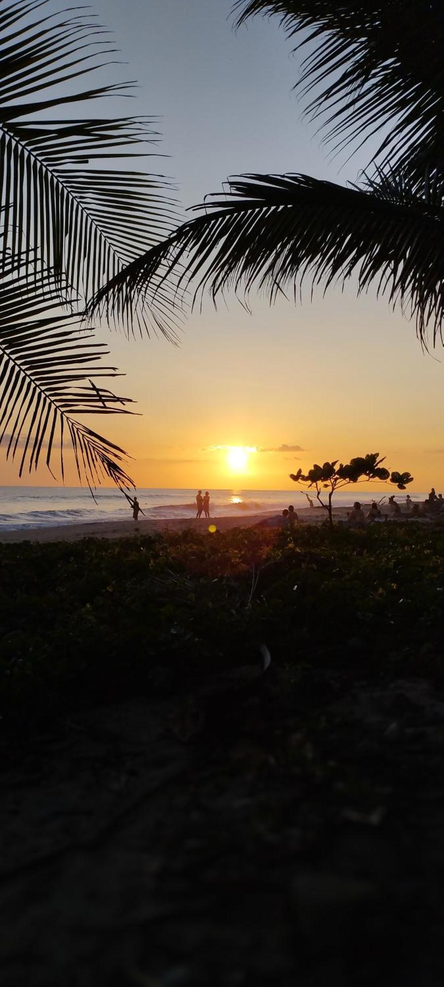 Armadillo Eco Bungalows - Santa Teresa Playa Santa Teresa  Eksteriør billede