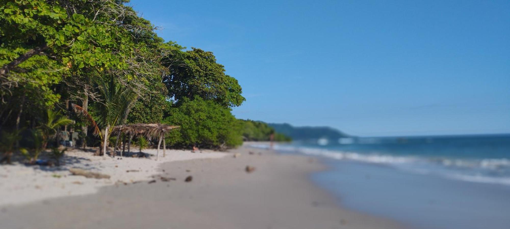 Armadillo Eco Bungalows - Santa Teresa Playa Santa Teresa  Eksteriør billede
