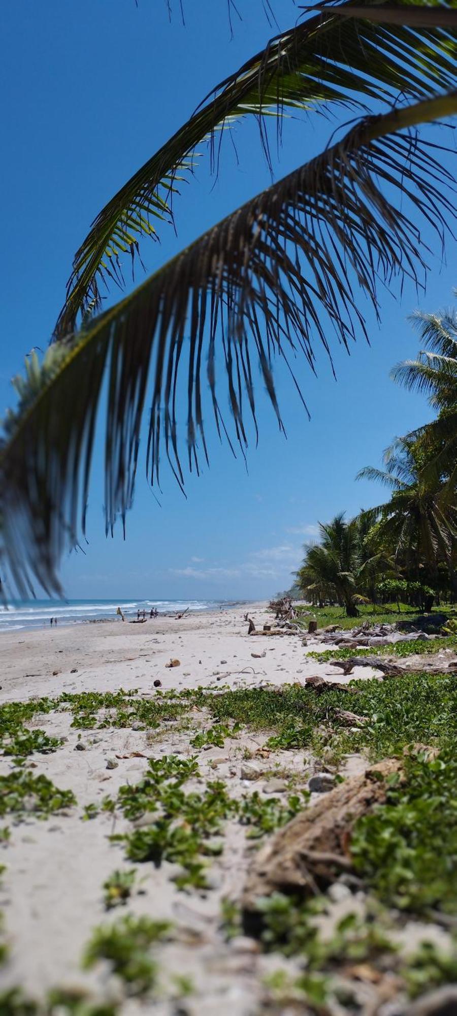 Armadillo Eco Bungalows - Santa Teresa Playa Santa Teresa  Eksteriør billede
