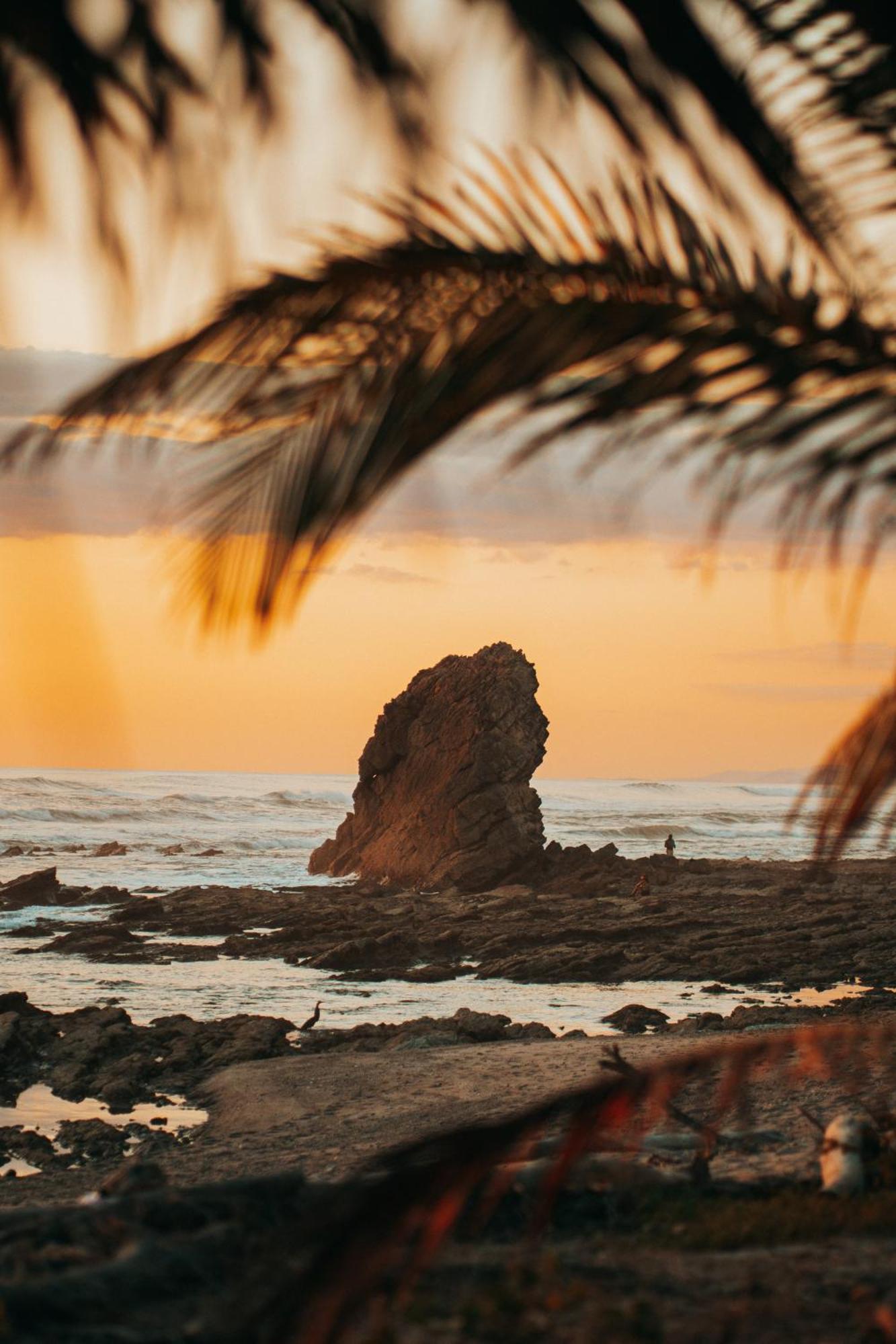Armadillo Eco Bungalows - Santa Teresa Playa Santa Teresa  Eksteriør billede